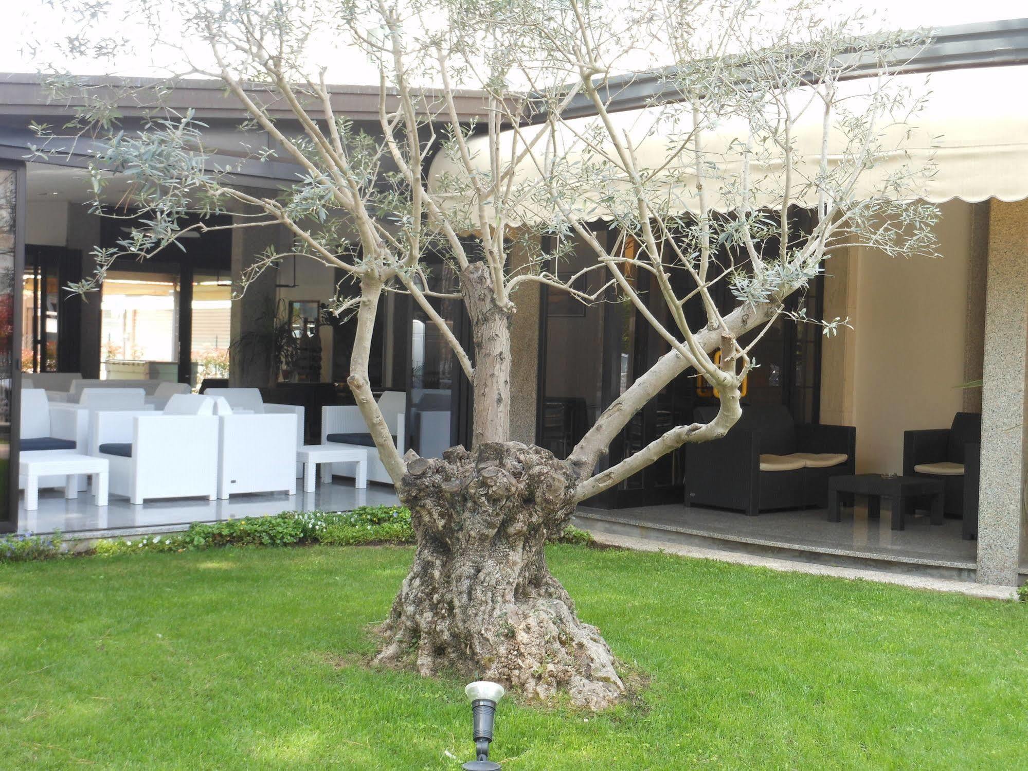 Hotel Jesolo Sand ภายนอก รูปภาพ